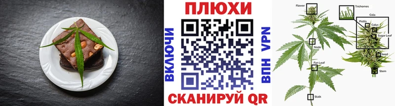дарнет шоп  Чишмы  Cannafood конопля 