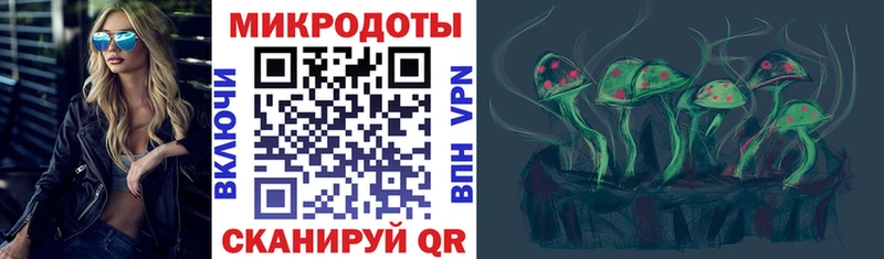 дарнет шоп  Чишмы  Псилоцибиновые грибы ЛСД 